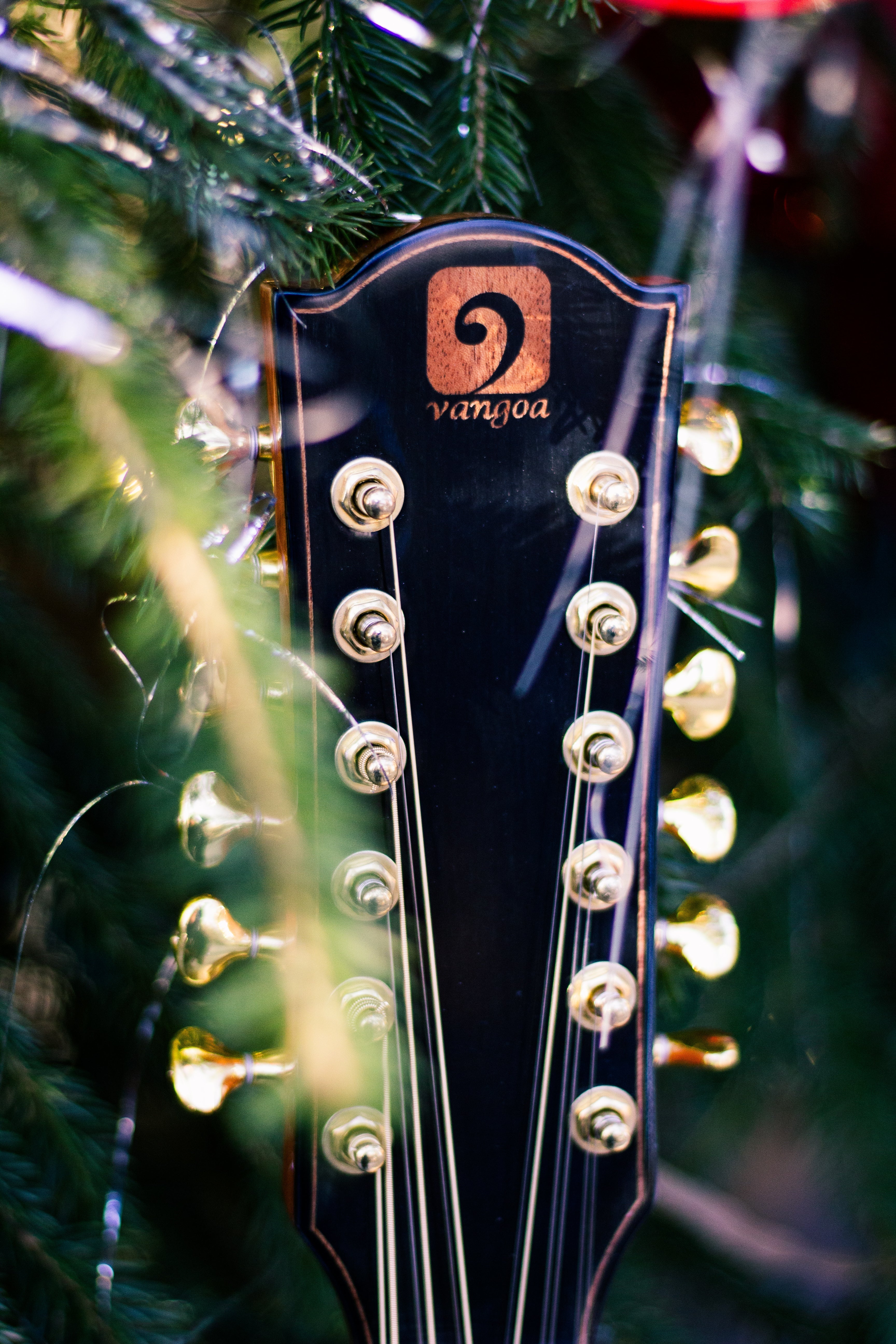 Essential Daily Guitar Maintenance Tips - Vangoa