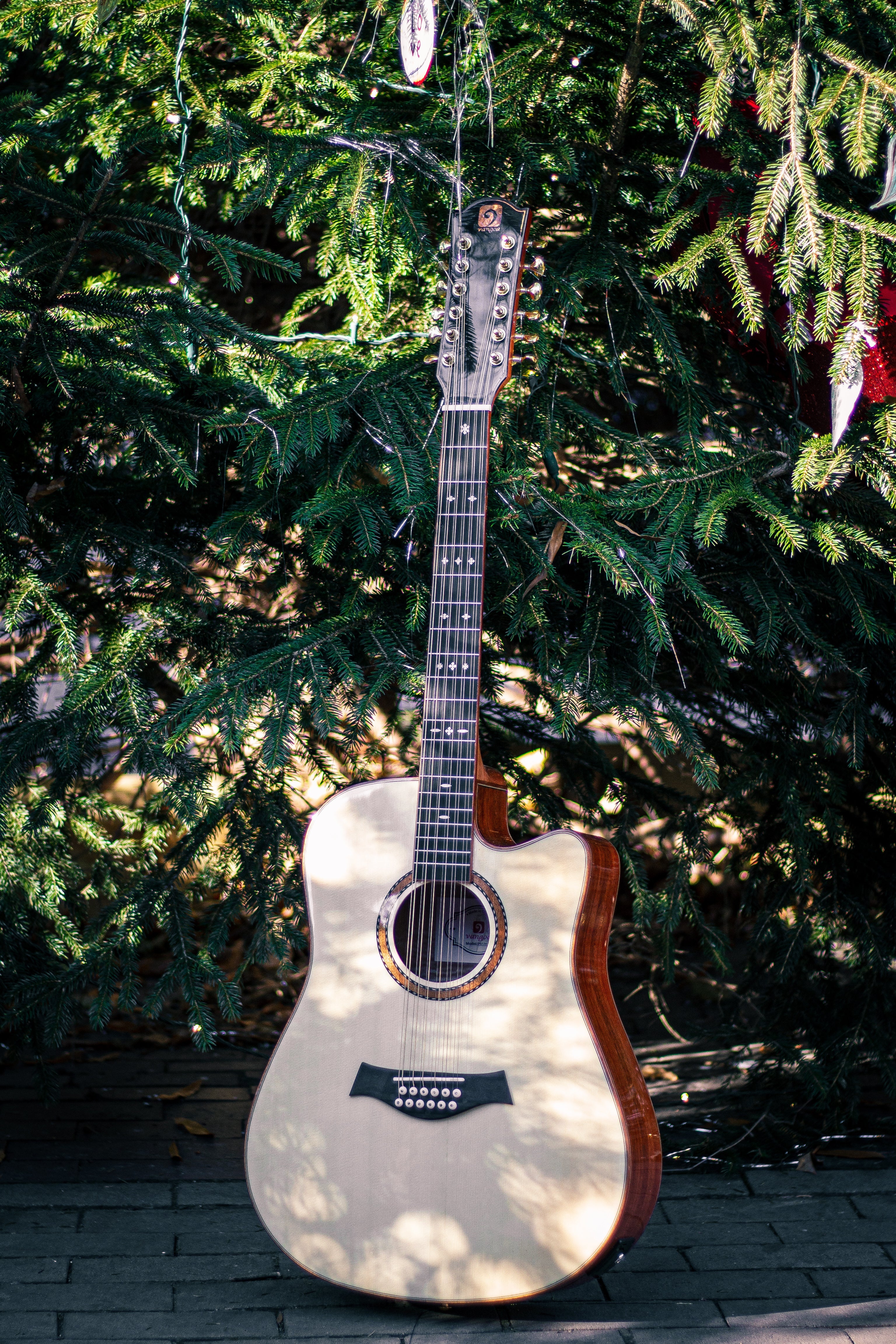 The 10 Best Affordable 12-String Guitars for Music Lovers - Vangoa