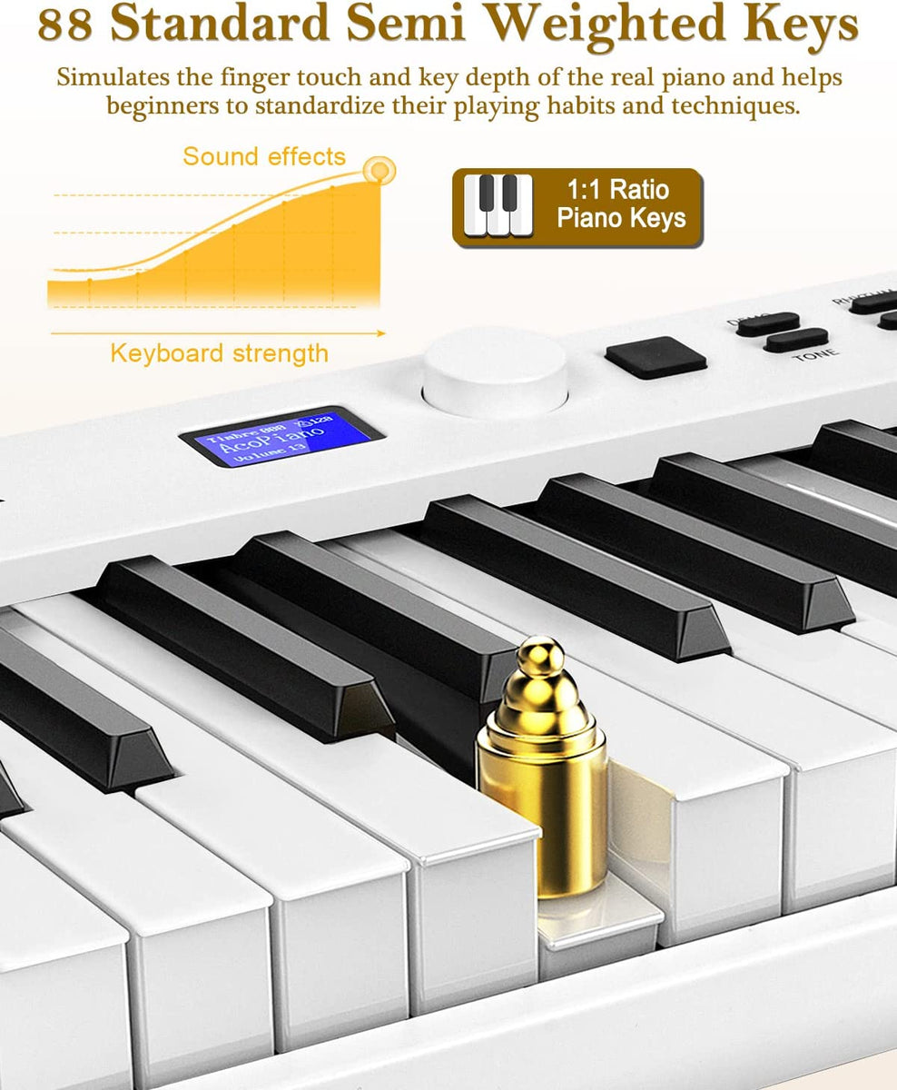 Casio ctk 88 keys on sale