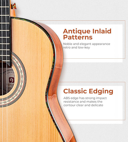 Vangoa Classical Guitar, 39" Nylon String Classical Guitar, Full Size Beginner Spanish Guitar Set, Spruce Top and Sapele Back - Vangoa