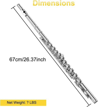 Vangoa Flöte, geschlossenes Loch, C-Flöte, 16 Tonarten, versilbert, vernickelt, Musikinstrument, Flötenset für Anfänger, Erwachsene, Jugendliche, mit Tragetasche 
