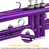 [available on Amazon]Vangoa VTB-1 Standard Bb Trumpet for Beginners with Valve Oil Purple