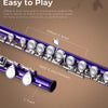 [ON SALE@🇩🇪🇫🇷🇮🇹🇪🇸][available on Amazon]Vangoa C Flöte 16 geschlossen Löcher Querflöte Instrument Vernickelt Flöte Anfänger Set mit Flötenständer Violett
