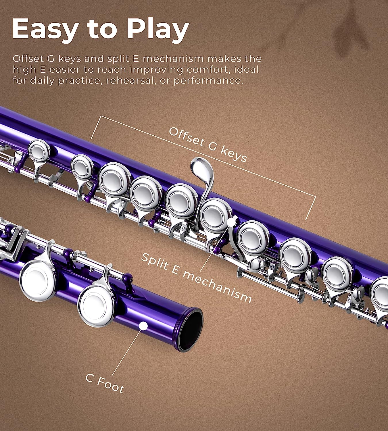 Vangoa Closed Hole C Flute for Beginners Kids Student 16 Keys Purple