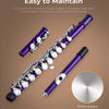 [ON SALE@🇩🇪🇫🇷🇮🇹🇪🇸][available on Amazon]Vangoa C Flöte 16 geschlossen Löcher Querflöte Instrument Vernickelt Flöte Anfänger Set mit Flötenständer Violett
